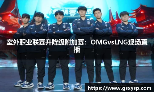 室外职业联赛升降级附加赛：OMGvsLNG现场直播