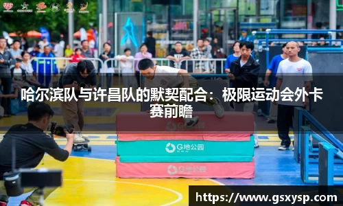 哈尔滨队与许昌队的默契配合：极限运动会外卡赛前瞻