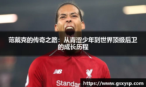范戴克的传奇之路：从青涩少年到世界顶级后卫的成长历程